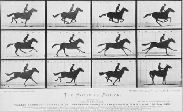 Eadweard Muybridge, Le cheval en mouvement, 1878. Projeté à rythme régulier, ces images restituent les mouvement d'un cheval au galop.